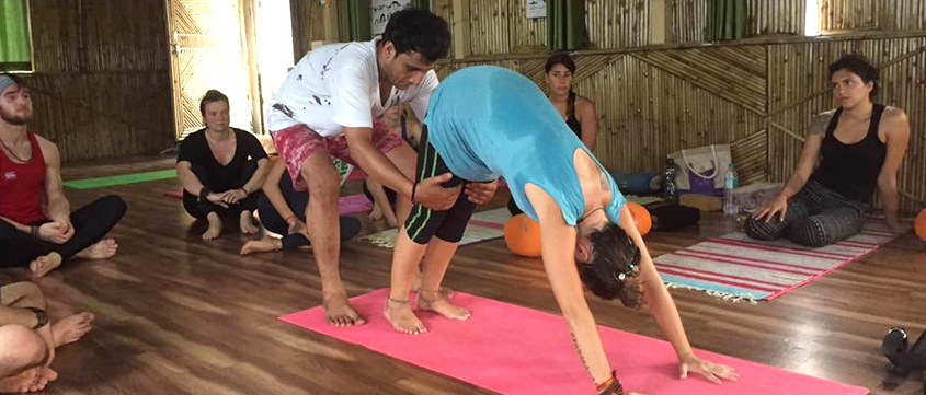 300 hour Yoga Teacher Training in India