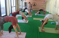 Ashtanga Yoga Teacher Training in Rishikesh