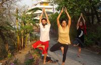 Yoga Teacher Training Course India