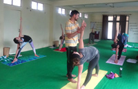 Yoga Teacher Training in India