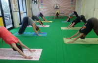 Yoga Teacher Training