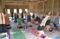 200 Hour Yoga Poses